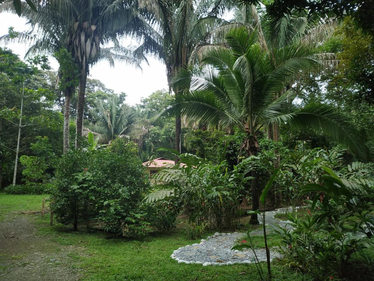 Four Monkeys Eco Lodge - Jungle & Beach Cabo Matapalo المظهر الخارجي الصورة