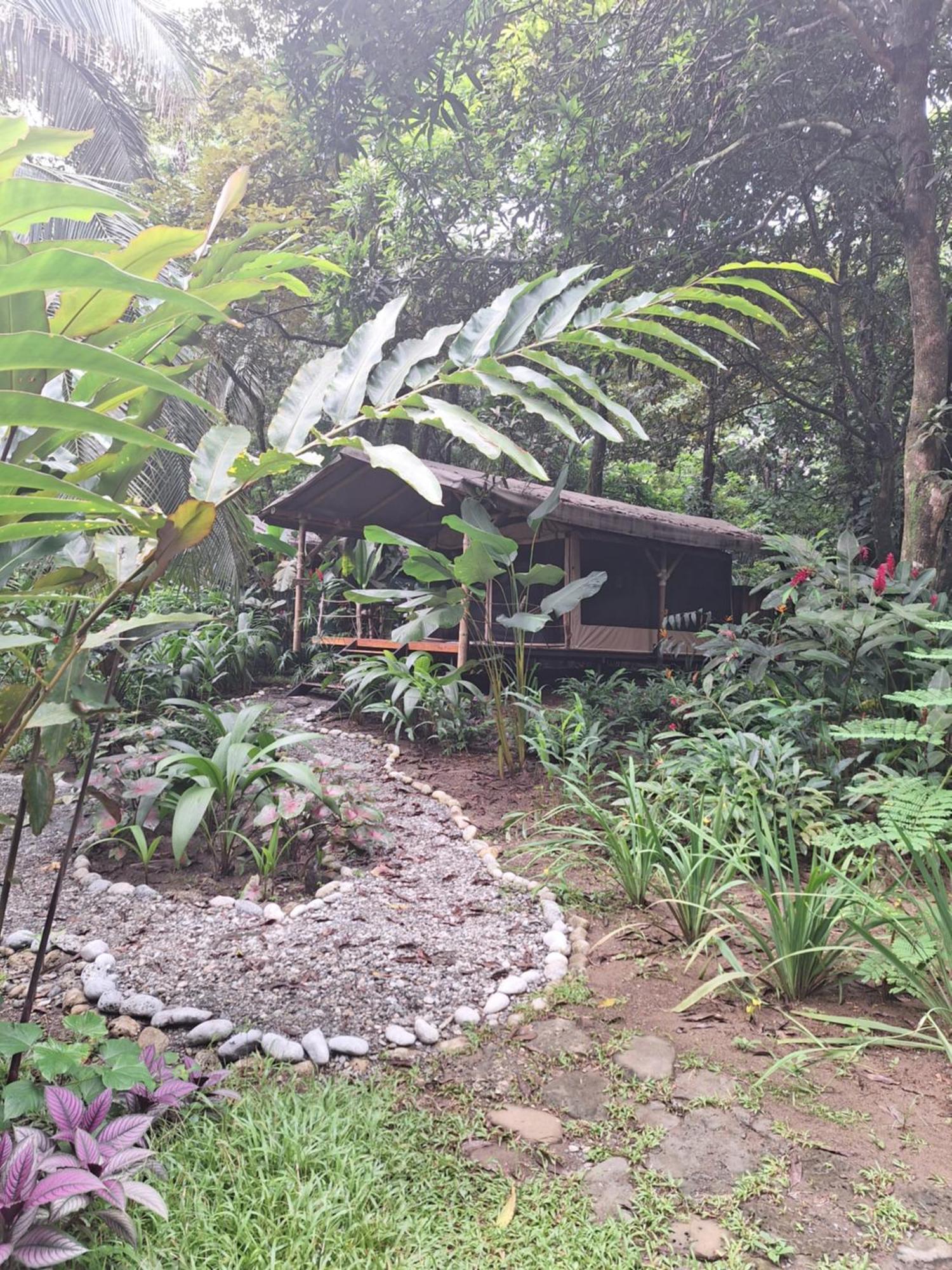 Four Monkeys Eco Lodge - Jungle & Beach Cabo Matapalo المظهر الخارجي الصورة