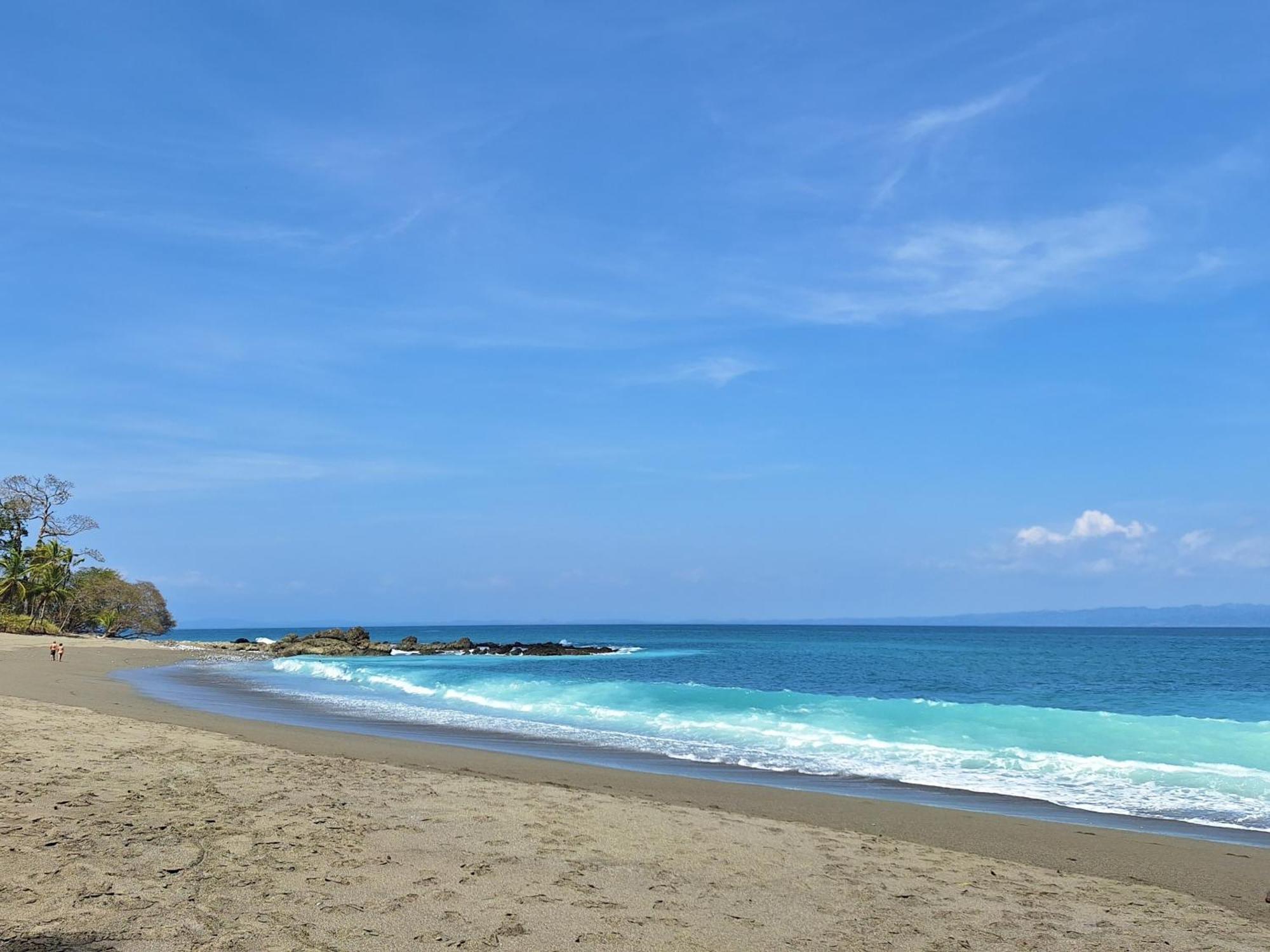 Four Monkeys Eco Lodge - Jungle & Beach Cabo Matapalo المظهر الخارجي الصورة