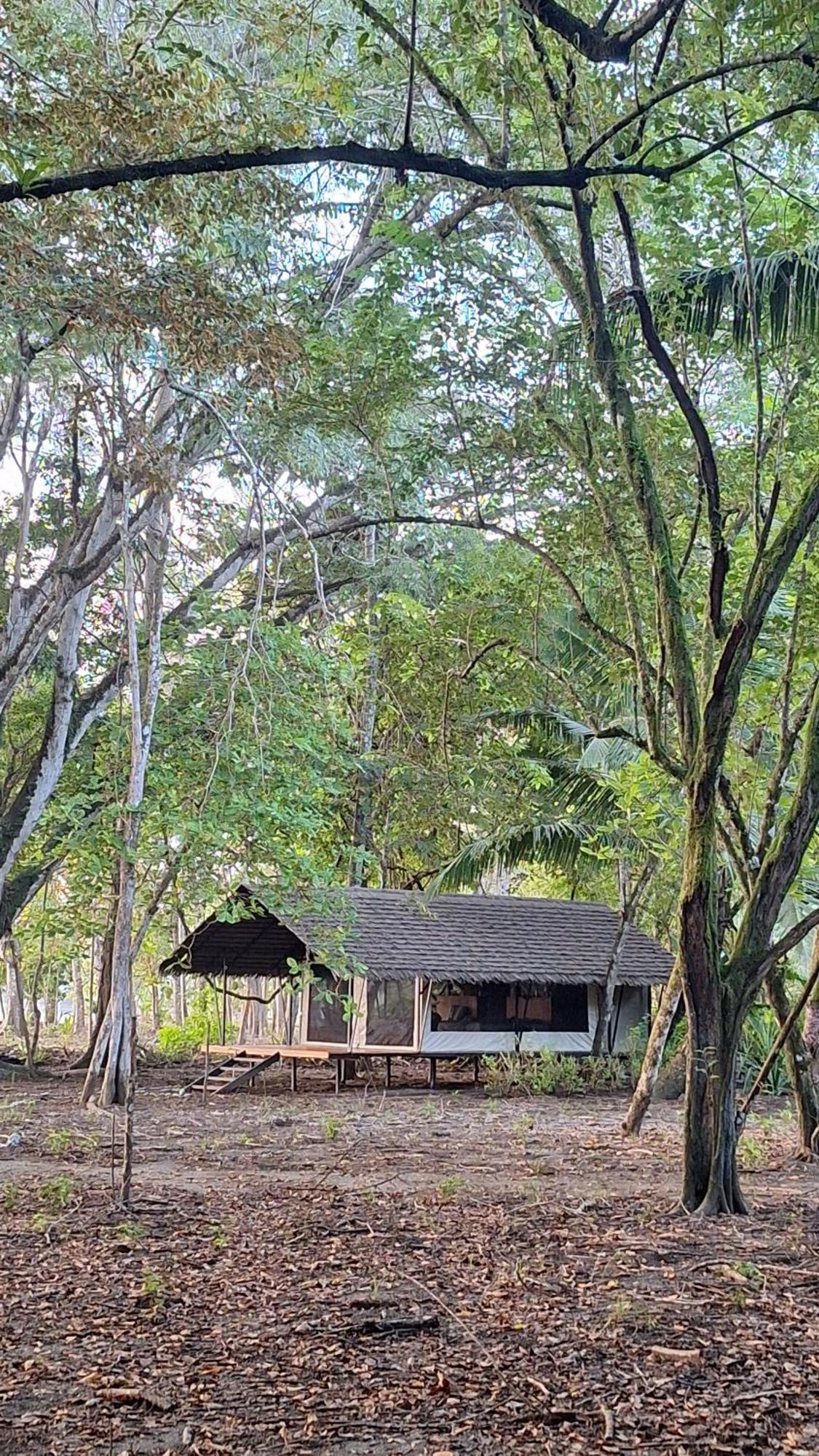 Four Monkeys Eco Lodge - Jungle & Beach Cabo Matapalo المظهر الخارجي الصورة